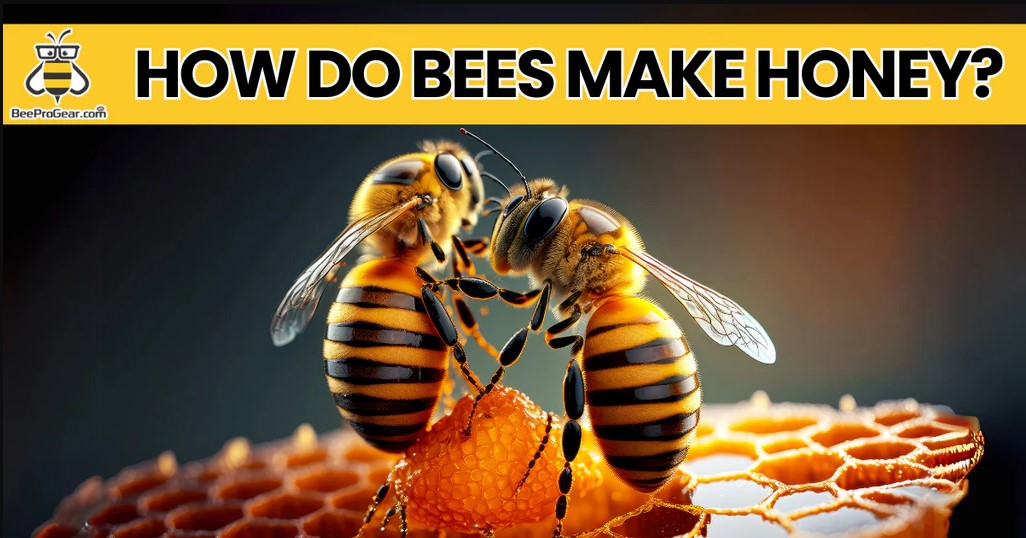Why Do Bees Make Honey?