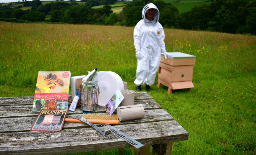 Top Honey Bee Supplies for a Thriving Hive