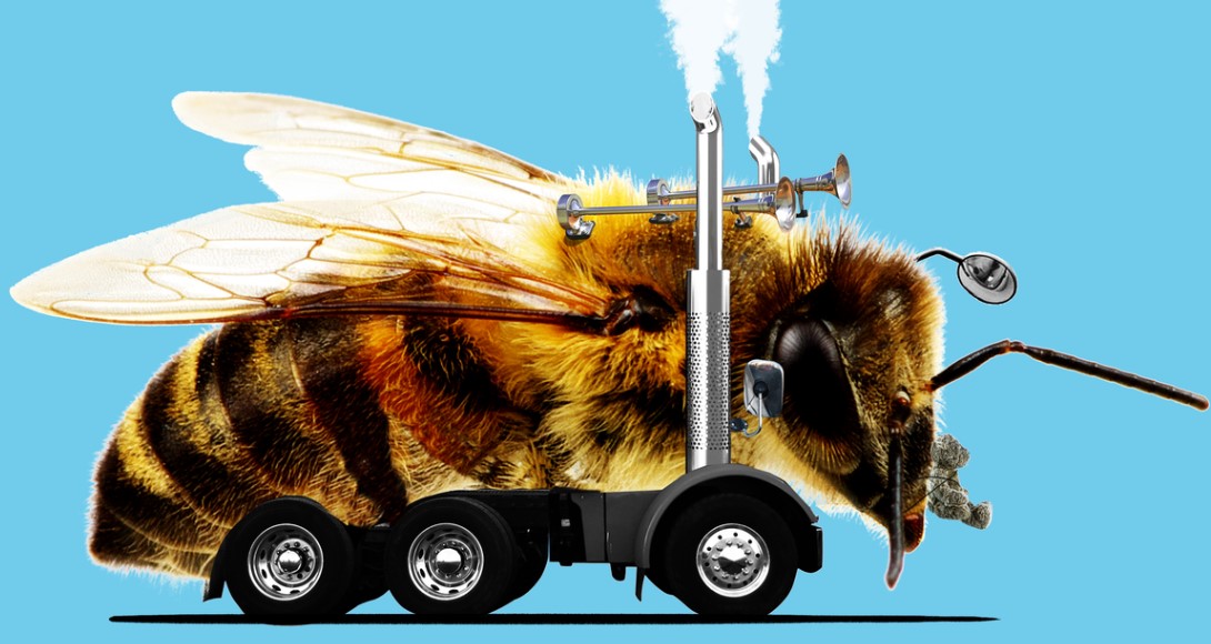 How to Transport Honey Bees Safely and Efficiently
