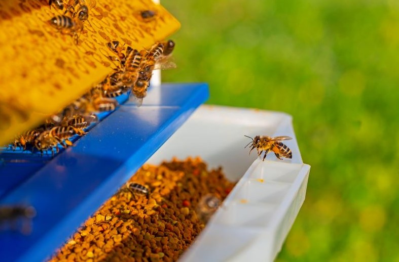 Golden Pride Honey Bee Pollen – 100% Pure Superfood for Energy & Wellness